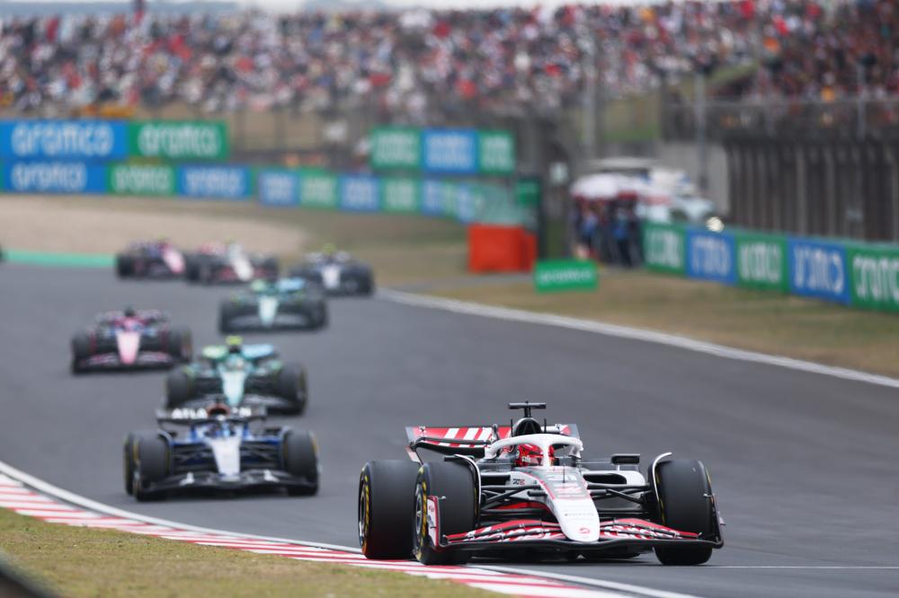 凭借多年深 凭借多年深