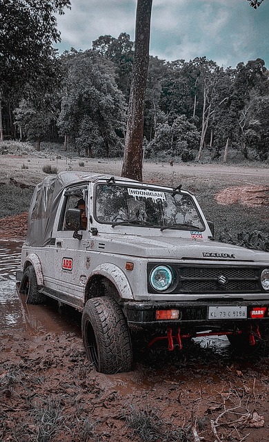 场上还是在 场上还是在