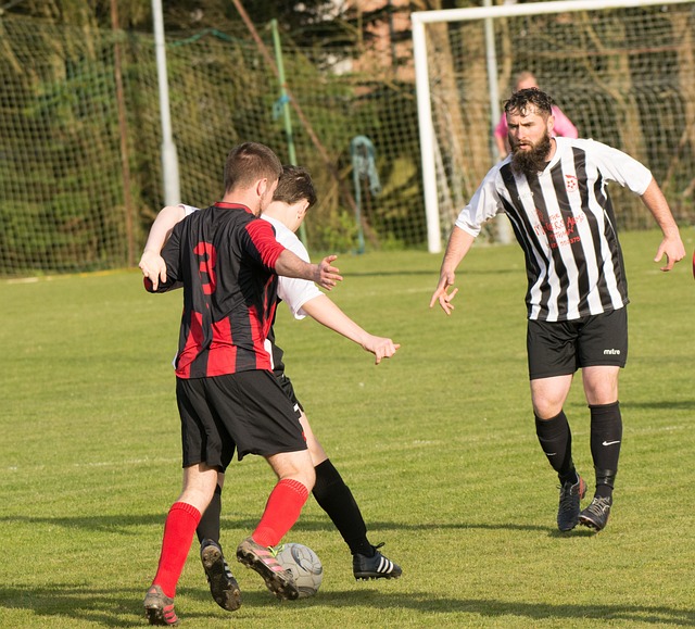 中效力于多 中效力于多