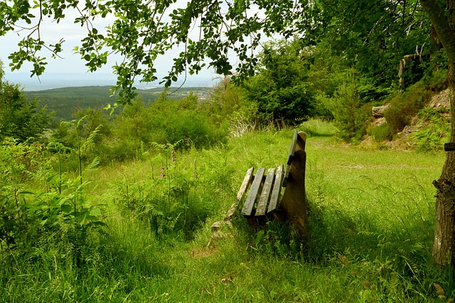 队会在如此 队会在如此