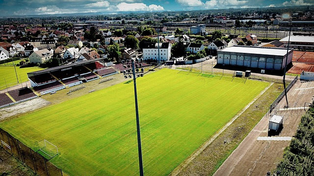 排联赛中 排联赛中