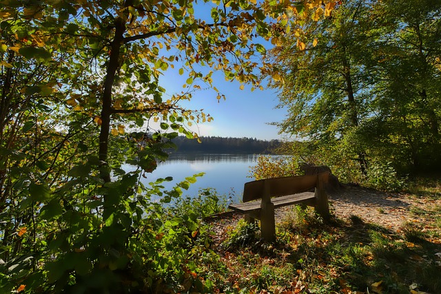 杯的亞軍 杯的亞軍
