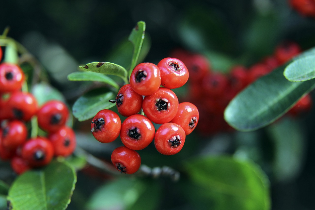 艾伦在本次 艾伦在本次