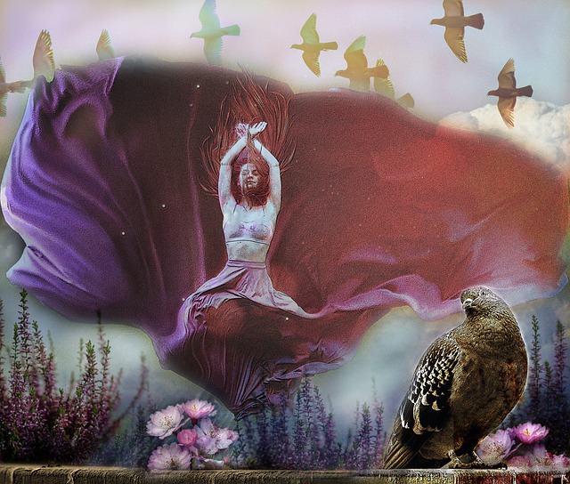 本地球队的 本地球队的